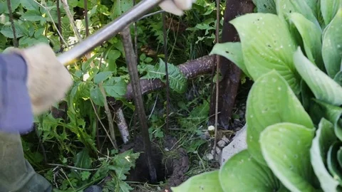 The man screwed in the ground a special tool.  Top view Stock Footage 83000528