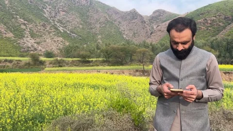 Man Scrolling on Smartphone in Open Green Field Vídeos de archivo 335478213
