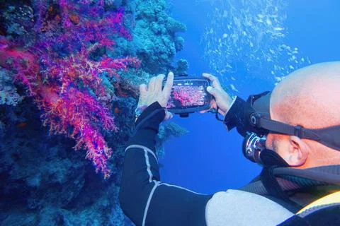 Man scuba diver using smartphone underwater housing when shooting coral reef  Stock Photos