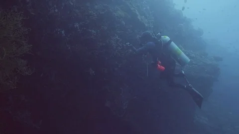 Man scuba diver using underwater light for looking coral reef on sea bottom Stock Footage 100122764