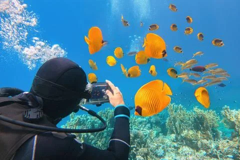 Man scuba diver using underwater smartphone  housing for shooting beautiful y Foto stock