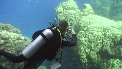 Man scuba diving and looking at phone Stock Footage 276363669