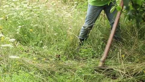 Man with scythe cutting grass Stock Footage