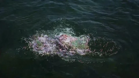 Man in the sea Stock Footage 171608919