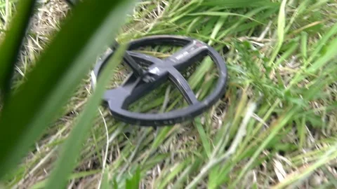 Man searches for metal objects in the forest Stock Footage 134504266