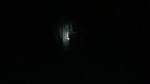 Man Searching in Dark Spooky Forest at Night. Man with Flashlight in the Woods Stock Footage 306536404
