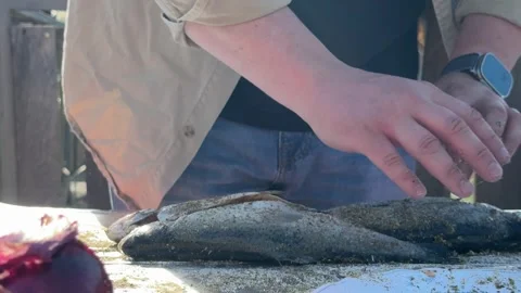 Man Seasoning Fresh Fish on Rustic Outdoor Table in Countryside Stock Footage 333523320