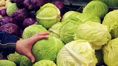 Man selecting cabbage savoy in grocery store Stock Footage 49579284
