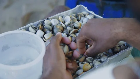Man selecting shellfish 스톡 동영상 128139729