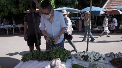 Man Selecting Vegetables From a Store Stock Footage 146437219