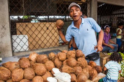 Man selling coconuts Stock Photos