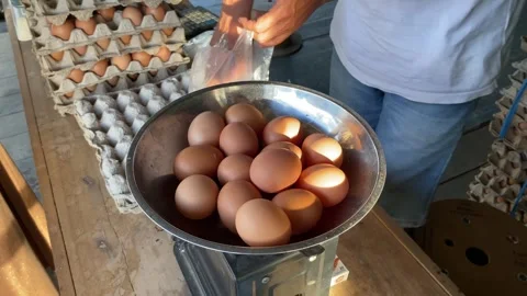 A man selling eggs weighs eggs to sell to buyers at a market. Stock Footage 278903472