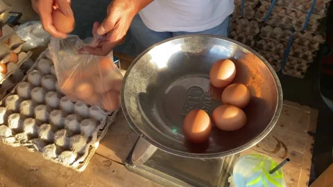 A man selling eggs weighs eggs to sell to buyers at a market. Stock Footage 278903712