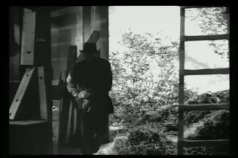 Man sending message through carrier pigeon Video stock 11349508