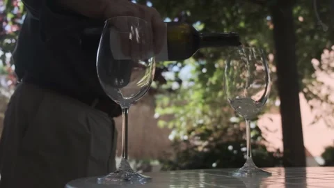 A man serves two glasses of wine in the garden Stock Footage 143773402
