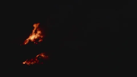 Man set on fire and picks up twigs and dry grass fire Stock Footage 94328635