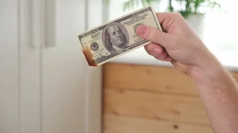 Man sets fire to 100 dollar bills. Crisis. Hand holding burning dollar bills Stock Footage 239816932