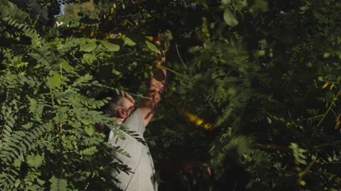 Man sets slackline between trees above the river. 스톡 동영상 140792044