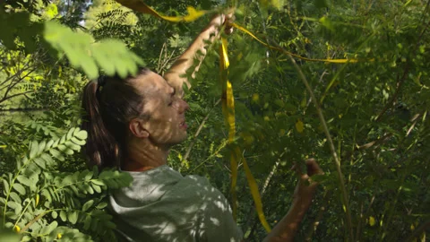 Man sets slackline between trees above the river. 스톡 동영상 140792188
