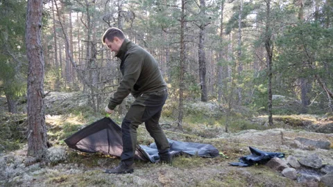 Man setting up camp tent in a pine forest wilderness 库存影片 333690514