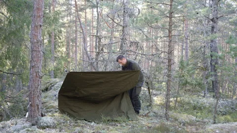 Man setting up tarp shelter in pine forest wilderness 库存影片 333690387