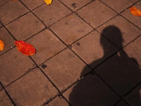 Man shadow reflecting on concrete tile floor Foto stock