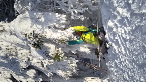 Man shake pine tree branch snowfall having fun Stock Footage 164099877