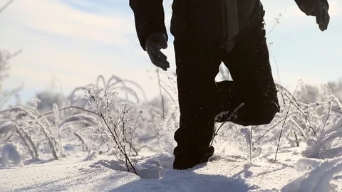The man shakes off the snow from the branches Stock Footage 71583407