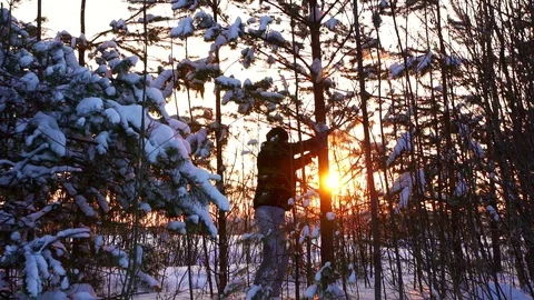A man shakes a tree from which the snow falls at sunset Stock Footage 84912131