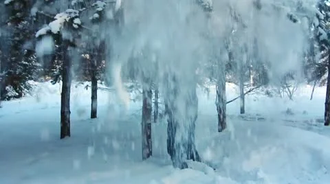 Man is shaking a snow from a tree, and the flaky snow is falling down (SLOW) Видео 22303453