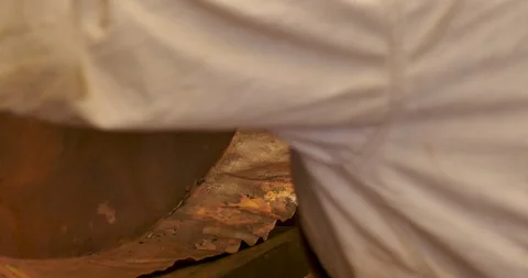 Man shaping a large copper sheet with a hammer - dolly shot Video stock 102721830