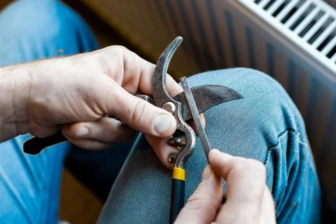 A man sharpens the blade of a garden pruner with a file. Garden tools Фото