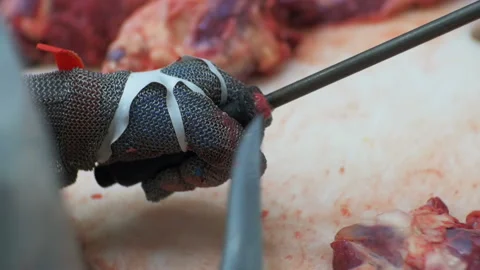 Man sharpens a knife Stock Footage 93134873