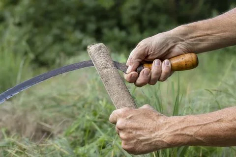A man sharpens a sickle with a grindstone for mowing grass.Mowing grass in .. Foto stock