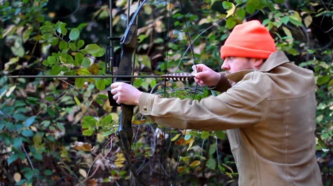 Man shooting bow Видео 33517836