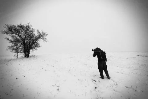 Man is shooting a tree in a mist. Stock Photos