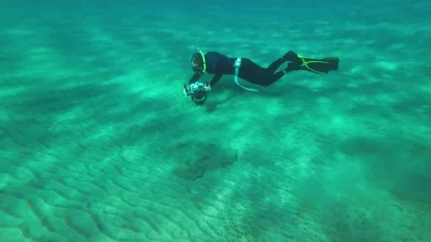 Man shoots on camera Stingray searches for food on the sandy bottom Stock Footage 232487486