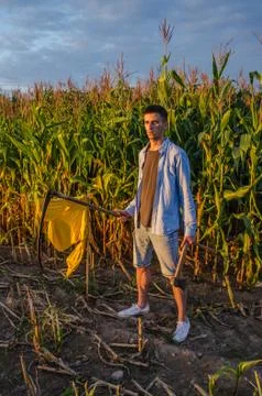 Man in shorts and a t-shirt in a cornfield with hand-made yellow flag caught  Stock Photos