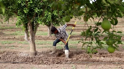 Man with shovel 2 Stock Footage 82589934