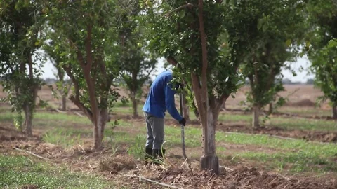 Man with shovel Stock Footage 82589905