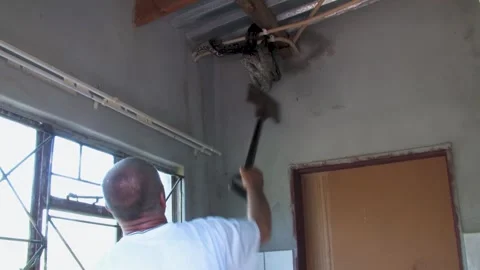 Man with a shovel trying to catch and safely remove and relocate african ro.. Video stock 254615251