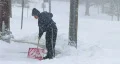 Man Shoveling Snow 02 HD Footage