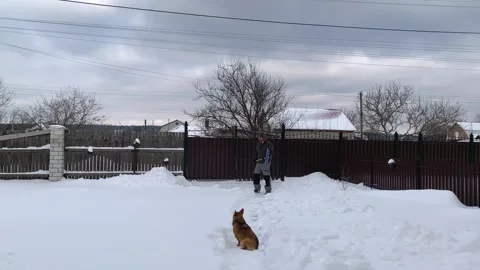 Man shoveling snow in backyard while dog follows on winter time lapse Stock Footage 323772111