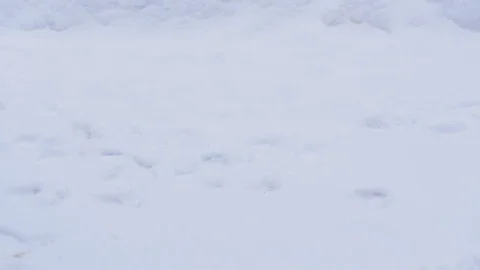 Man Shoveling Snow Video stock 85077467