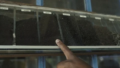 Man show samples white black tea or green 스톡 동영상 73287678