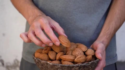 Man Showing Almond Nuts In Shell On Camera. - close up Stock Footage 182538674