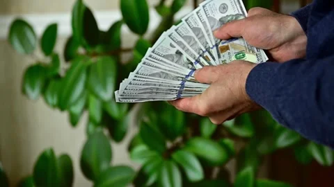 Man Showing Large Stack of Hundred Dollar Bills, Close Up Cash Money Stock Footage 346058434