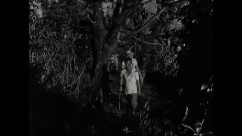A man shows dark clouds and runs in forest with son after rain - 1950 Stock Footage 106402940