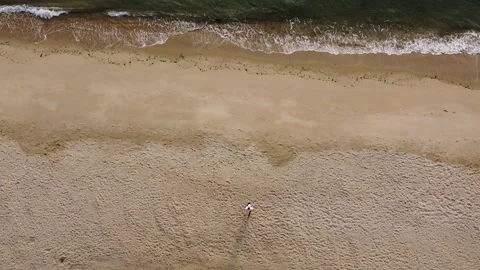 A man shows up from trees at beach, aerial view, Gold Coast, Hong Kong Stock Footage 241014287