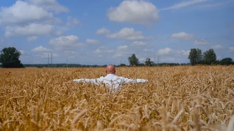 A man sit down and touches a wheat ear in the wheat field on the background 스톡 동영상 113918722